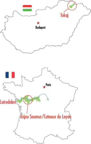 veckans-klonk-15-Coteaux-du-Layon-vs-Tokaj