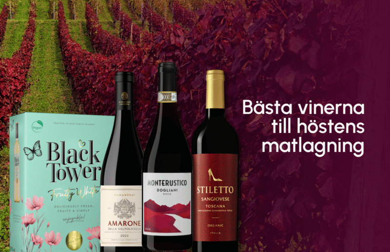 Vin höst matlagning