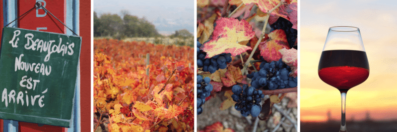 beaujolais bildblock (1)