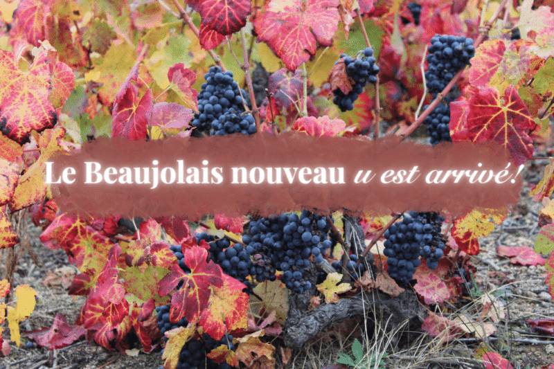 Beaujolais topp (1)